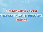 Từ đa nghĩa và từ đồng âm là gì? ví dụ từ đa nghĩa và từ đồng âm? Ngữ văn lớp 6 CTST